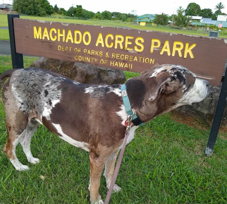 Machado Acres Park (Hilo,&nbspHI)